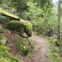 17.2 km Am Single gibt's auch ein paar Granitblöcke