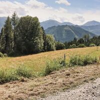 Am Forstweg wandern wir gemütlich und aussichtsreich dahin