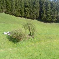 Streckenabschnitt Höhenweg