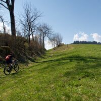 Weg vor Neuenmatt -  Rund ums Guggershorn