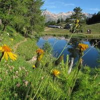 Launensee