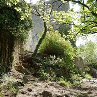 Ruine Rauheneck