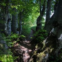 Single auf den Kämmen von Sur Lyand