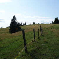 oben der 2. Weidezaunüberstieg