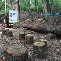 Trapphahn fangen am Waldspielplatz; Natur- und Kulturerlebnisweg "Zukunft spazierendenken"