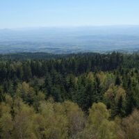 auf der Aussichtswarte