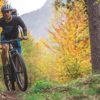Ein Trailabschnitt in Preghent