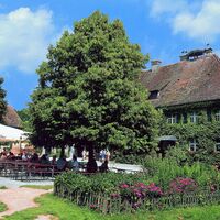 Schänke am Affenberg Salem