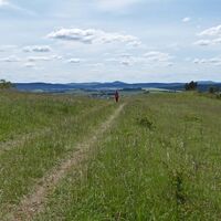 Wanderweg durch die "Alte Warth"