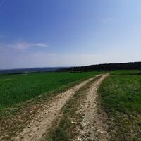 Weg nach Böttelborn