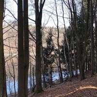 Auf zum Heinrichstein