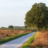 Feldweg
