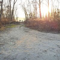 am Rückweg