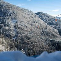 Black Forest Line Winter