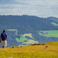 Ausblick beim Abstieg vom Zirbitzogel - Seetaler Alpen