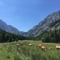 Blick we in das beweidete Seetal mit den z.T. Feuchtwiesen