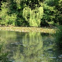 Idyllischer Hermannsee