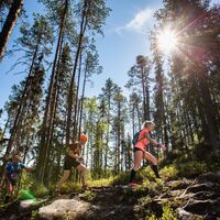 Auf dem Karhunkierros-Trail (Bärenrunde)