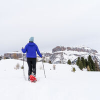 Schneeschuhwanderweg Ciampac ©Archivio FUNIVIA CIAMPAC E CONTRIN S.p.A.