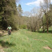 Im Tal der Wutsche