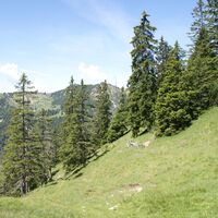 Schagstein-Runde