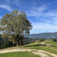 Hier grad weiter, immer der Nase nach