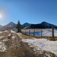Feichtensteinalm