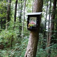 Abstieg über Staudenweg
