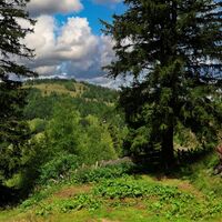 Wandern und dabei die Natur genießen.