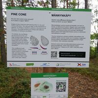 Parkinmäen Naturschleife