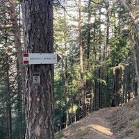 Weg 3 des Parks
