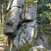 Kunstwerk der Natur - am Weg
