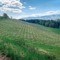 panoramatour (eibiswald) – ein perfekter dreiklang_img_48456728