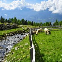 Ein Paradies für Tier und Mensch