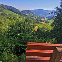 Aussicht ins Renchtal auf Hesselbach
