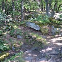 Verschlungene Pfade am Zigeunerfelsen