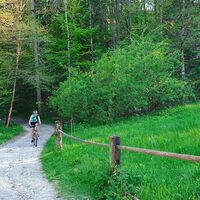 Rückkehr vom Waldweg zur asphaltierten Straße