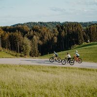 Radtour Radfahrerinnen Donauradweg