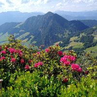 Blick vom Schatzberg zum Gratlspitz