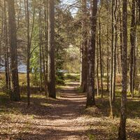 Hämeenlinna/ Aulanko, Finnland