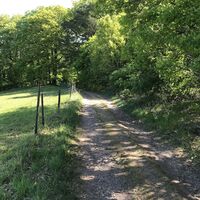 Zwischen Höringen und Menhir Hinkelstein