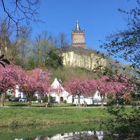 Schwanenburg Kleve