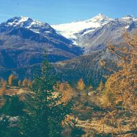 Blick auf den Palügletscher