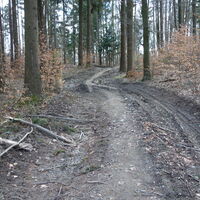 am gatschigen Rückweg