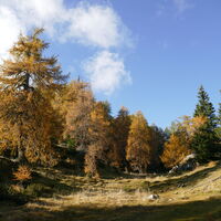 es geht herbstlich weiter