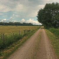 Radweg