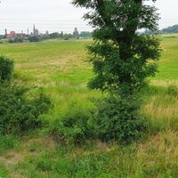 Blick über die Uchteniederung nach Tangermünde