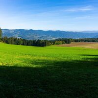 Herrliche Aussicht nach Aschelberg und Jauerling