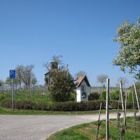 Am Weg zur Hochwart