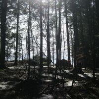 Peilstein - Wesenufer